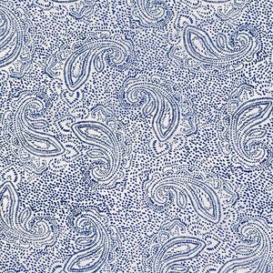 Paisley • White & Blue